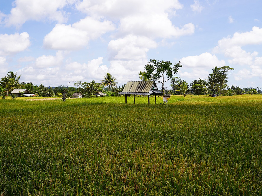 Subak Pulagan-坦帕克西林必去景点