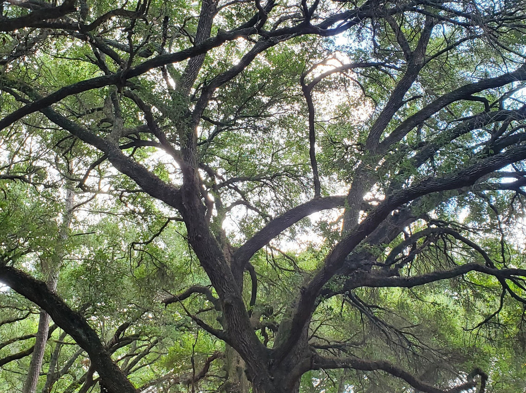 Kleb Woods Nature Preserve-Tomball必去景点