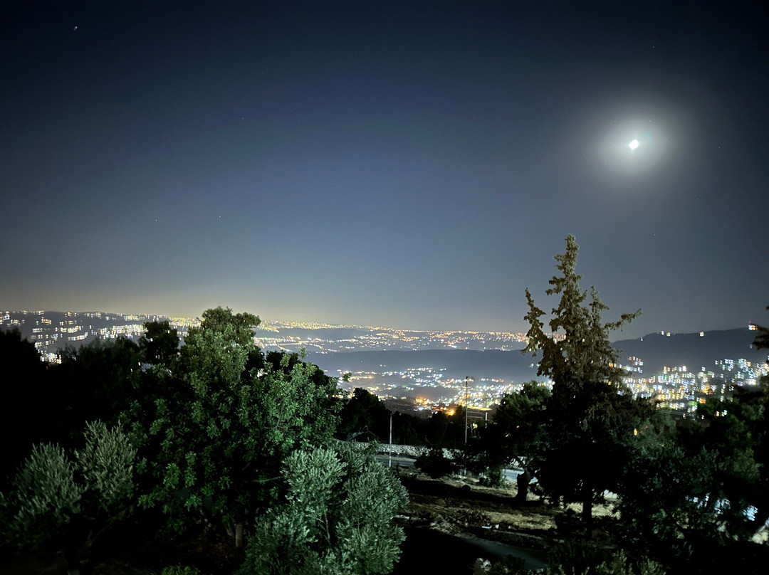 橄榄枝酒店主图