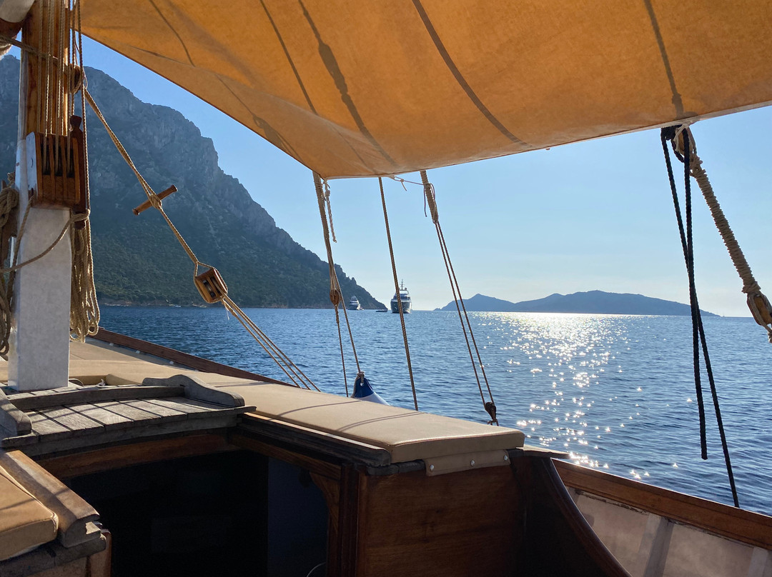 Sailing San Paolo-奥尔比亚必去景点