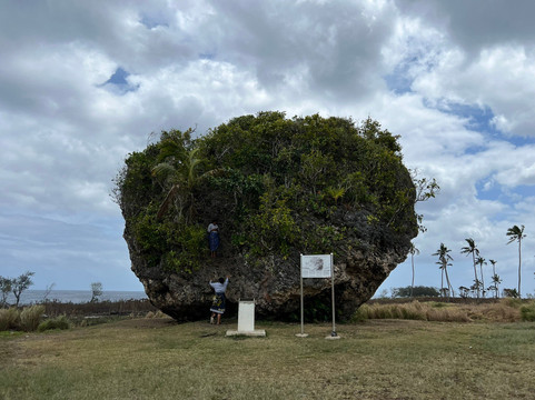 Raea's Taxi & Guided Tour Services-Tongatapu Island必去景点