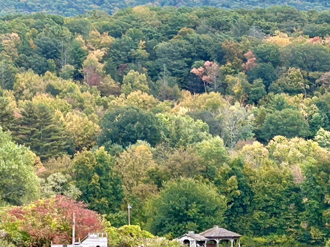 Granville House主图