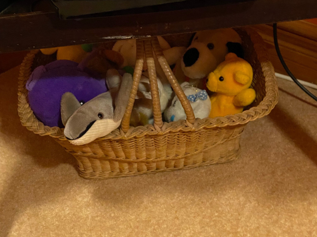 Maolbhuidhe Bed and Breakfast主图