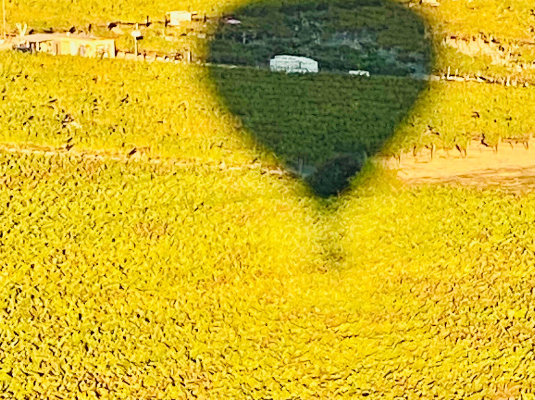 山谷热气球之旅景点图片