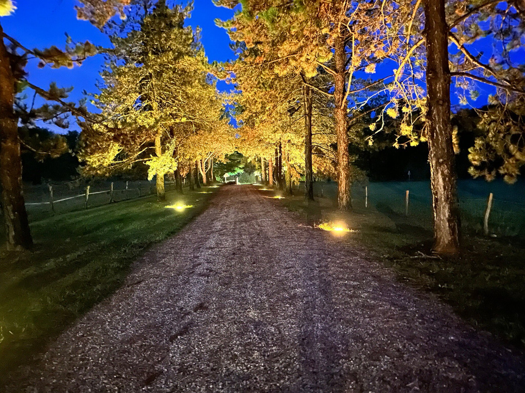 Hotel La Metairie主图