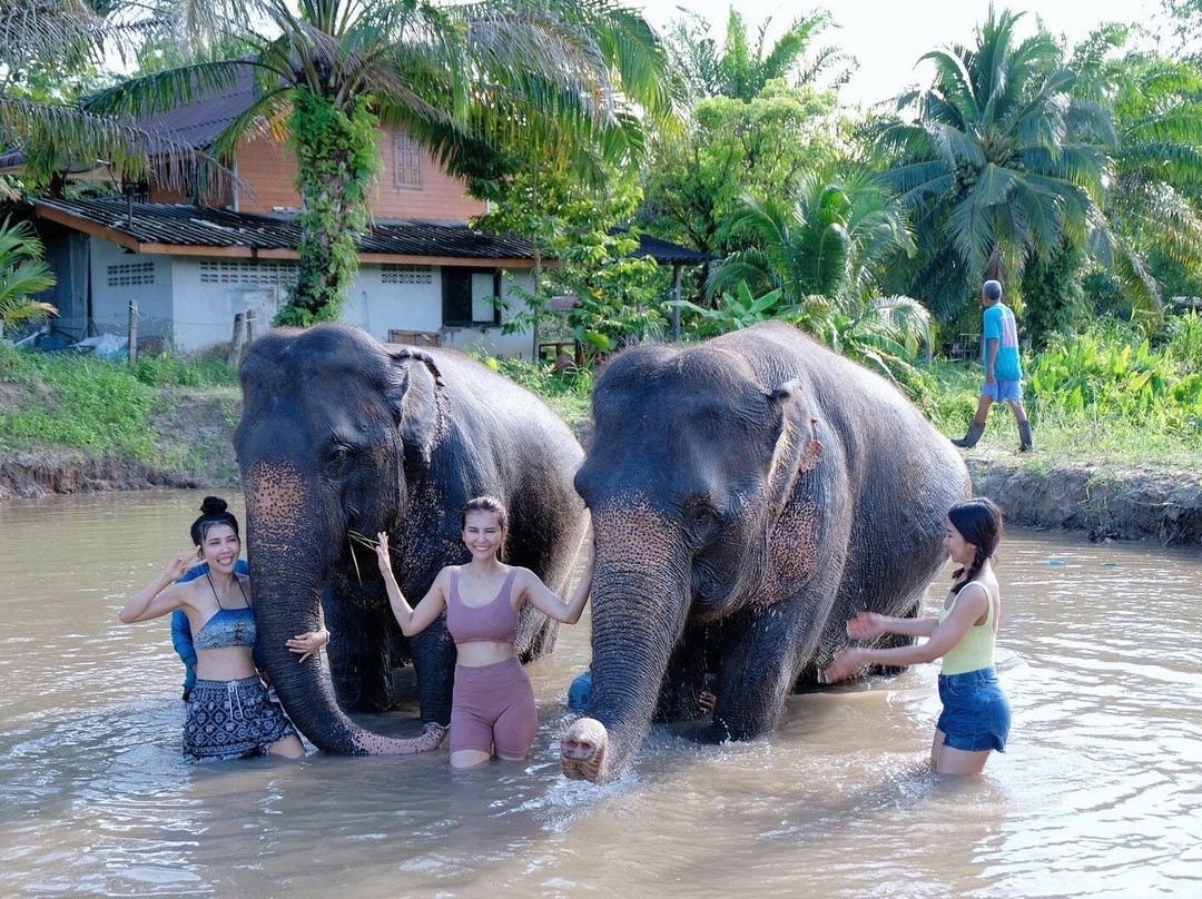 Thai Town of Elephant  Krabi景点图片