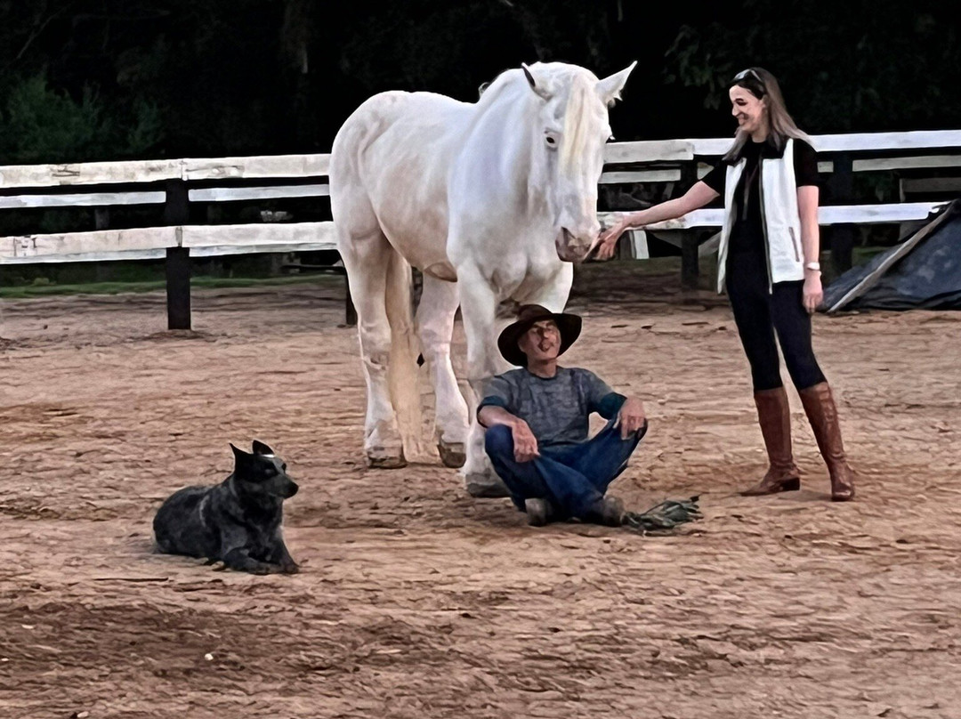 Haras Encanto Horse-蒙特贝尔德必去景点