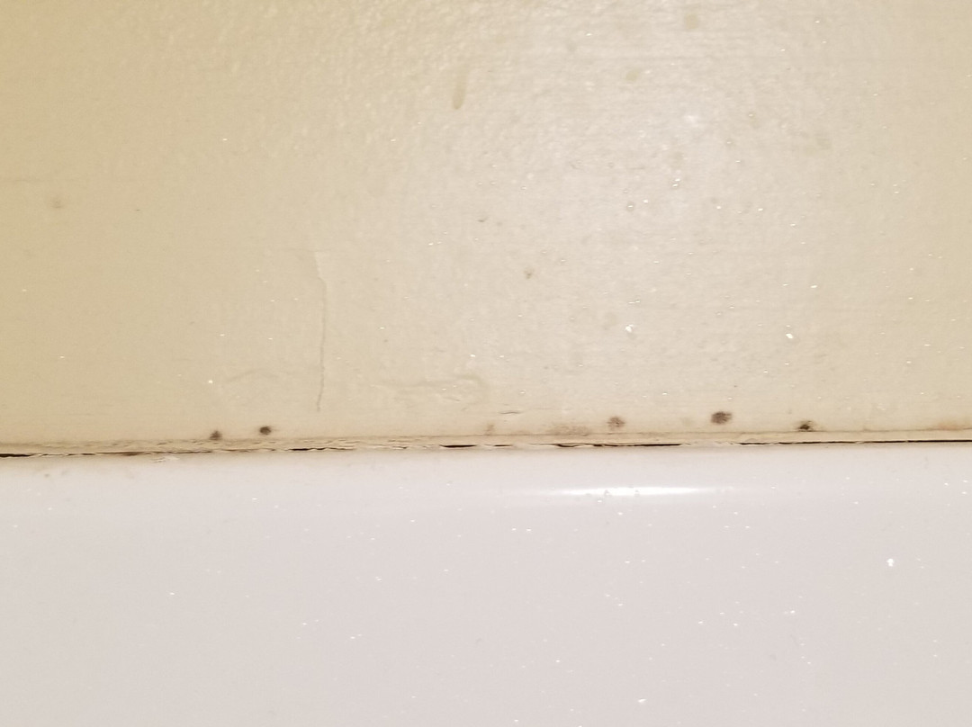 Days Inn by Wyndham Evansdale Waterloo主图