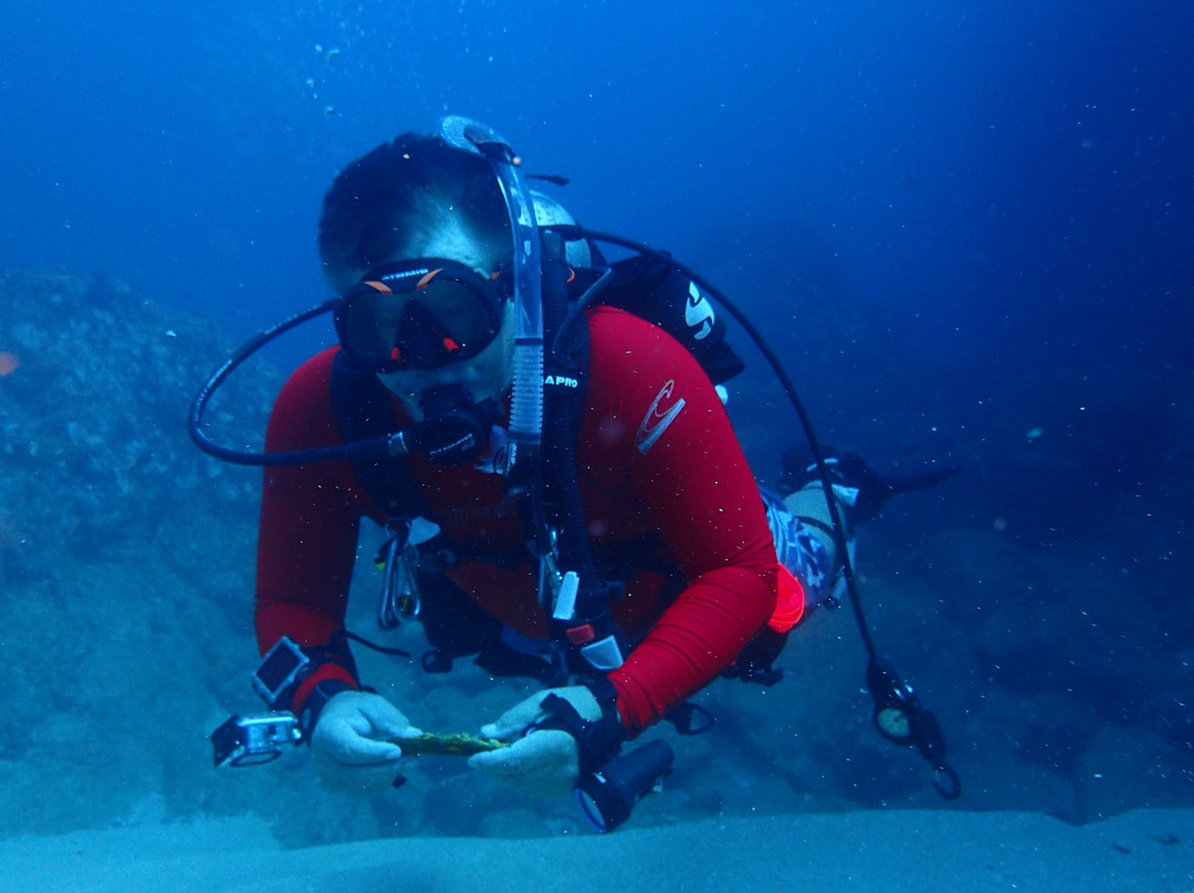 Cabo Deep Blue-卡波圣卢卡斯必去景点