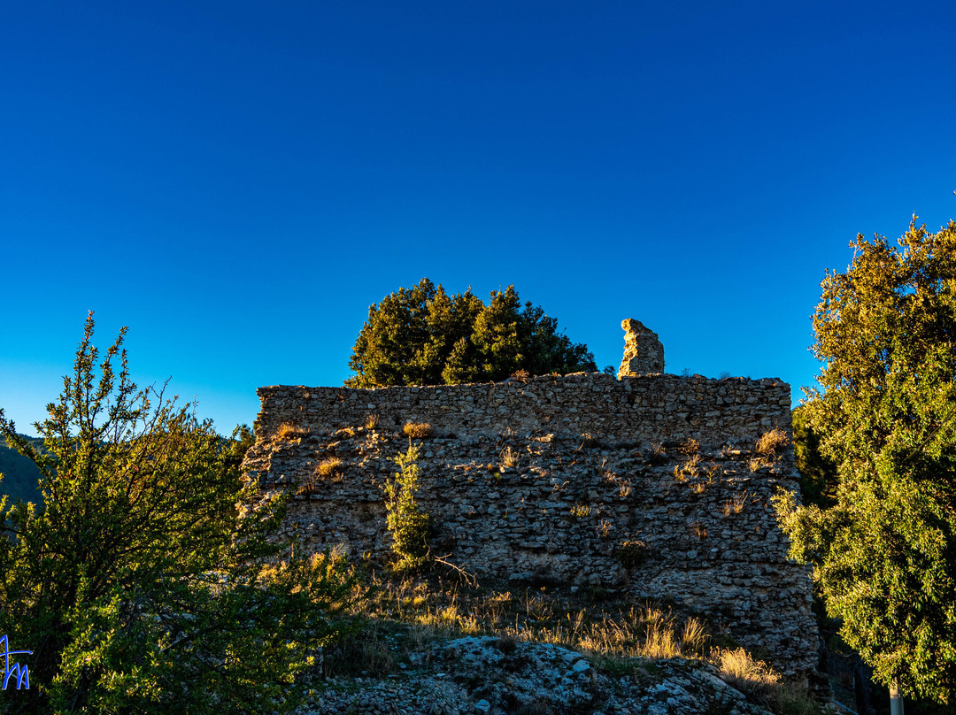 Torre Baiolardo - Il Torrazzo景点图片