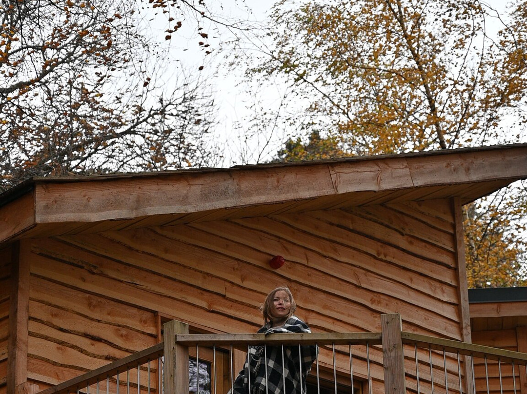 Tree House Retreats