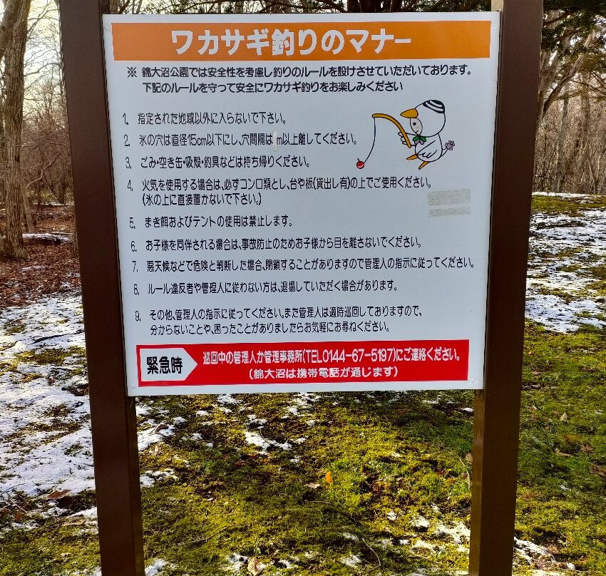 Nishiki Onuma Park景点图片