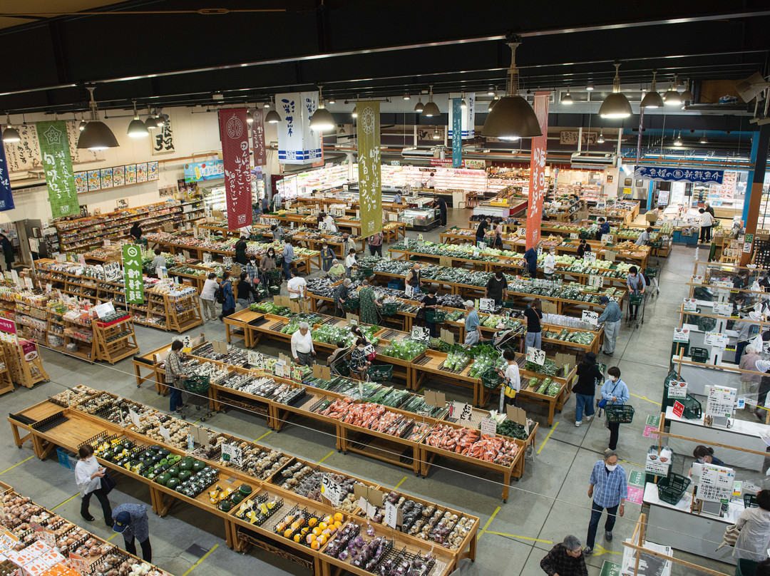 Saisaikiteya-今治市必去景点