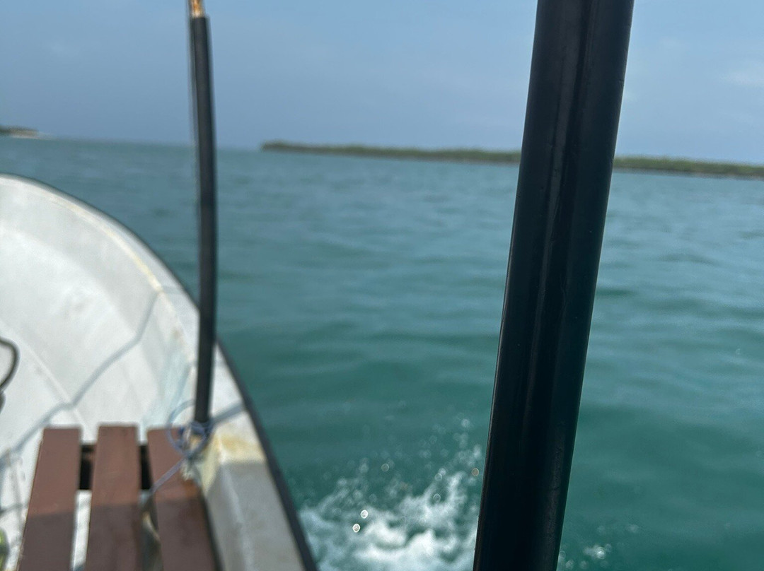 Diving paradise zanzibar