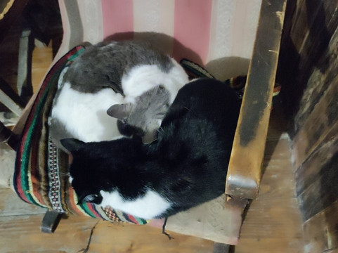 Granada Tours-格拉纳达必去景点