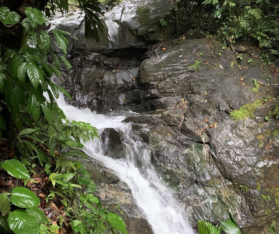 Santa Juana Lodge & Nature Reserve景点图片