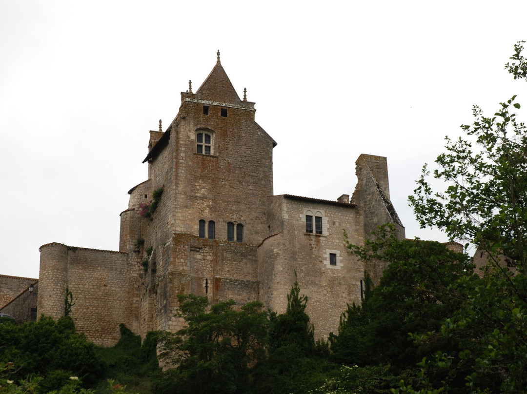 Cité Médiévale景点图片