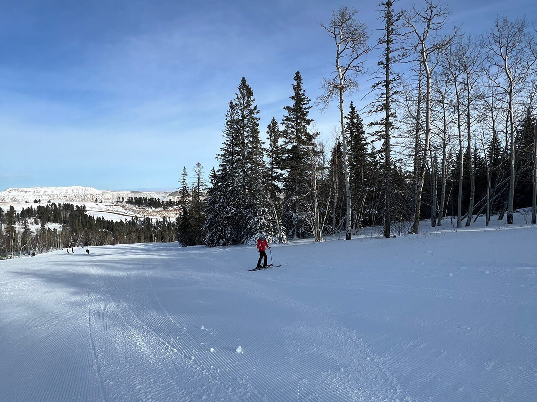 Terry Peak Ski Area-Lead必去景点
