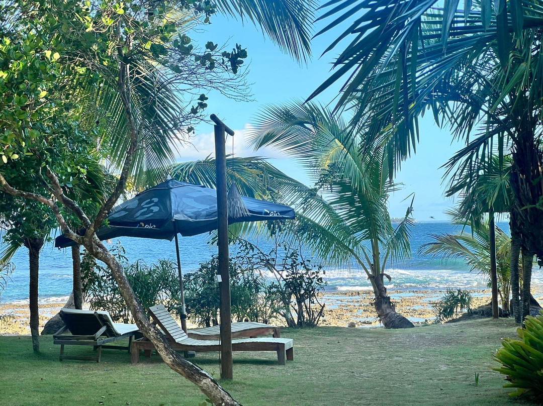 Pousada Tortuga主图