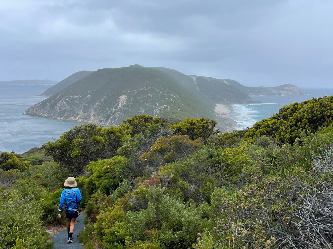 Bald Head Walk Trail-奥尔巴尼必去景点