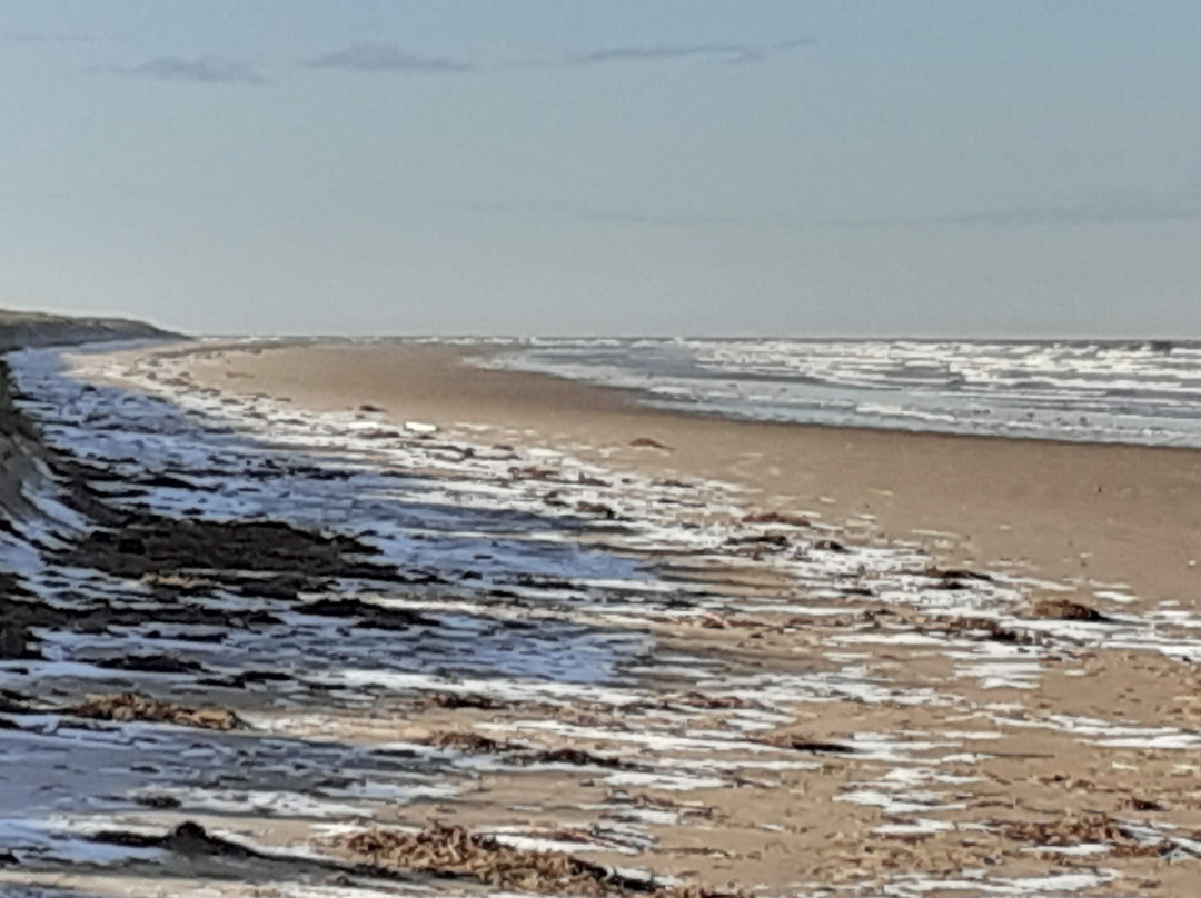 RSPB Titchwell Marsh景点图片