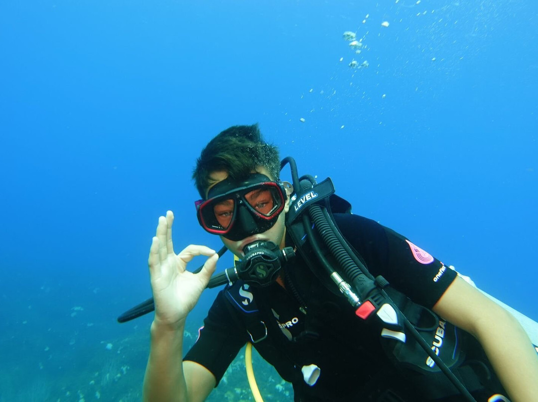 Tropicalsub Diving-Deshaies必去景点