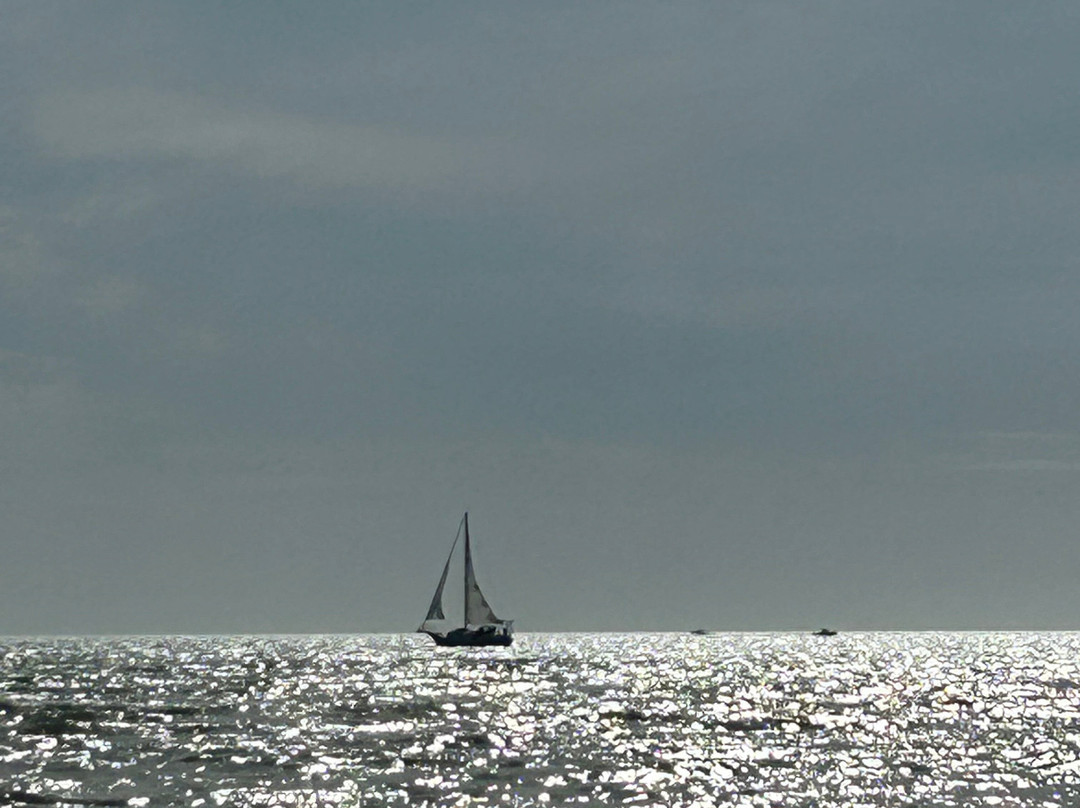 Bowditch Point Park-迈尔斯堡海滩必去景点