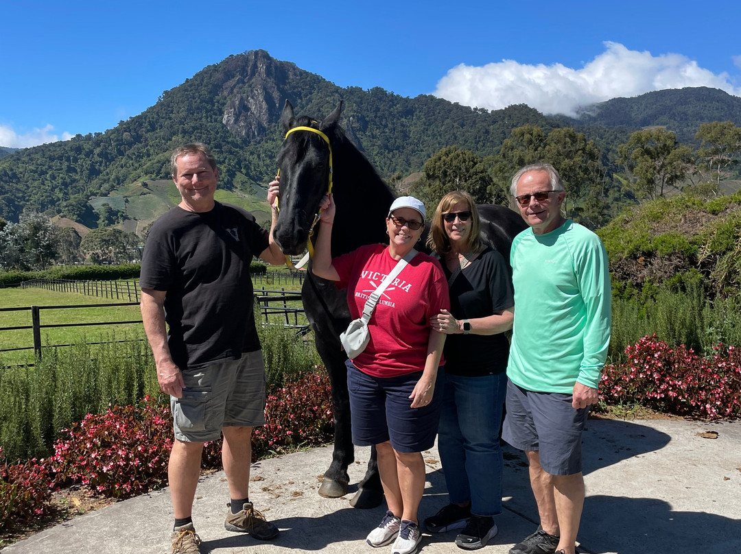 Haras Cerro Punta景点图片