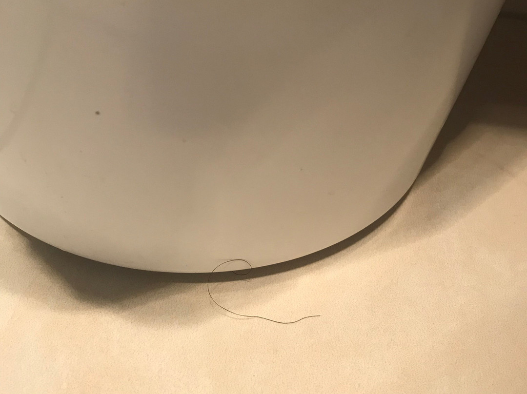 Ambassador on Ruthven Motel主图