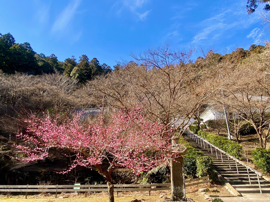 Daitoin Temple-森町必去景点