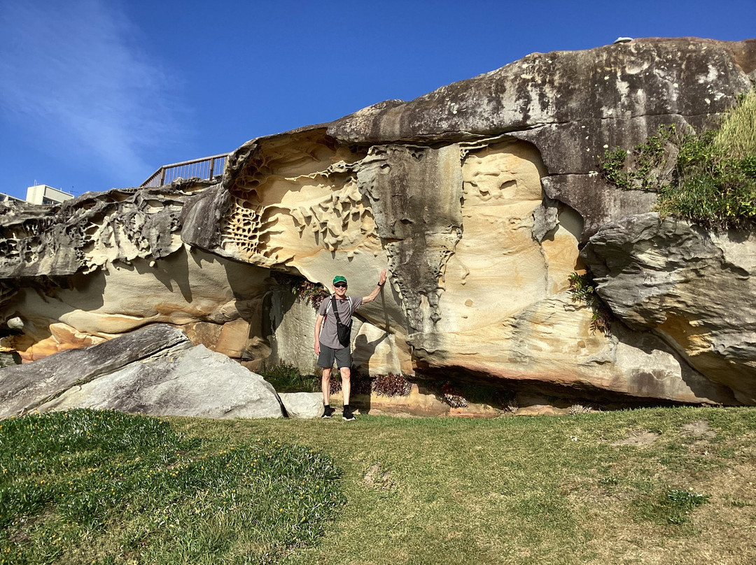 Coogee to Bondi Walking Tours景点图片