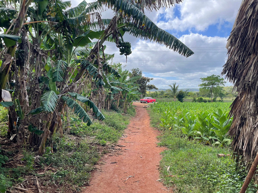 Sunny Vinales Tour-维纳勒斯必去景点