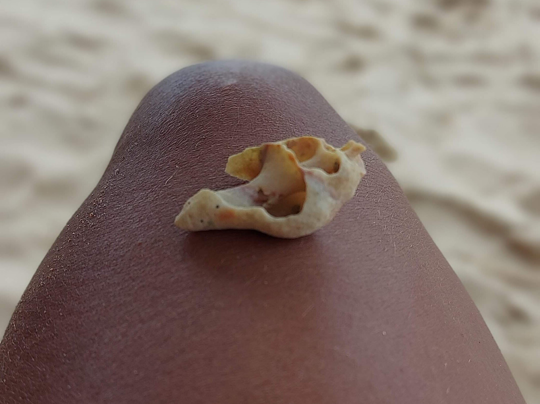 Pousada Vivenda Oriente主图