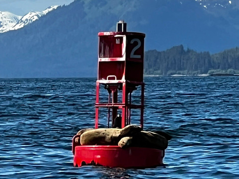 Alaska Shore Excursions-朱诺必去景点