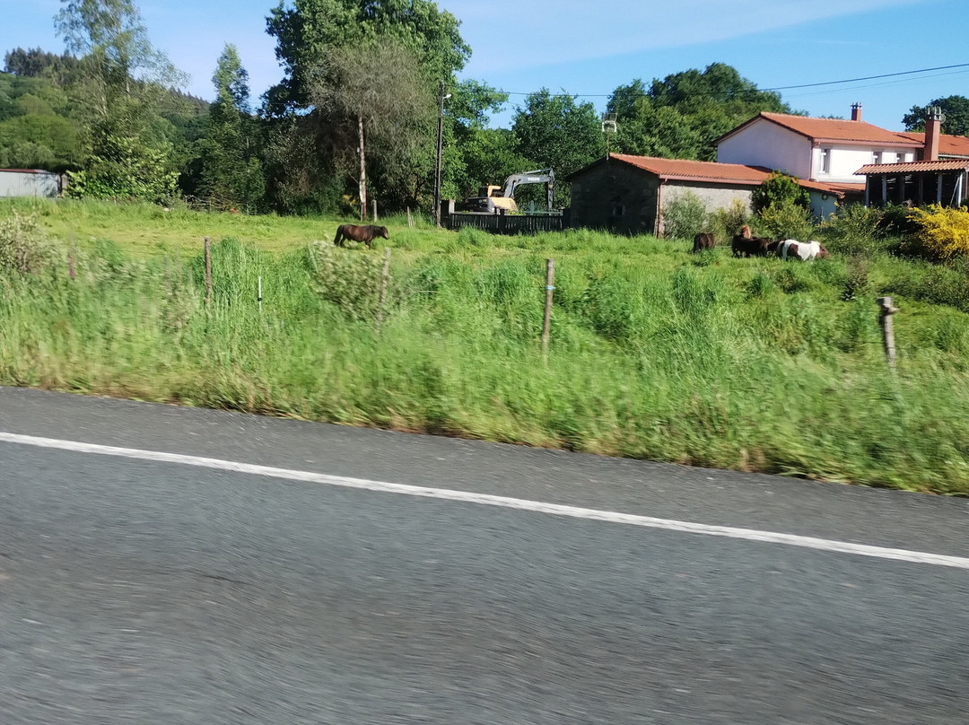 Ruta Trimaz-cabreiros-Xermade必去景点