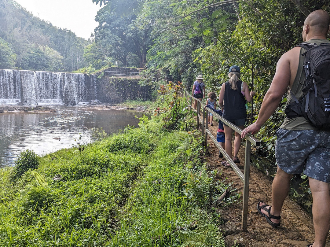 Wai Koa Loop-基拉韦厄必去景点