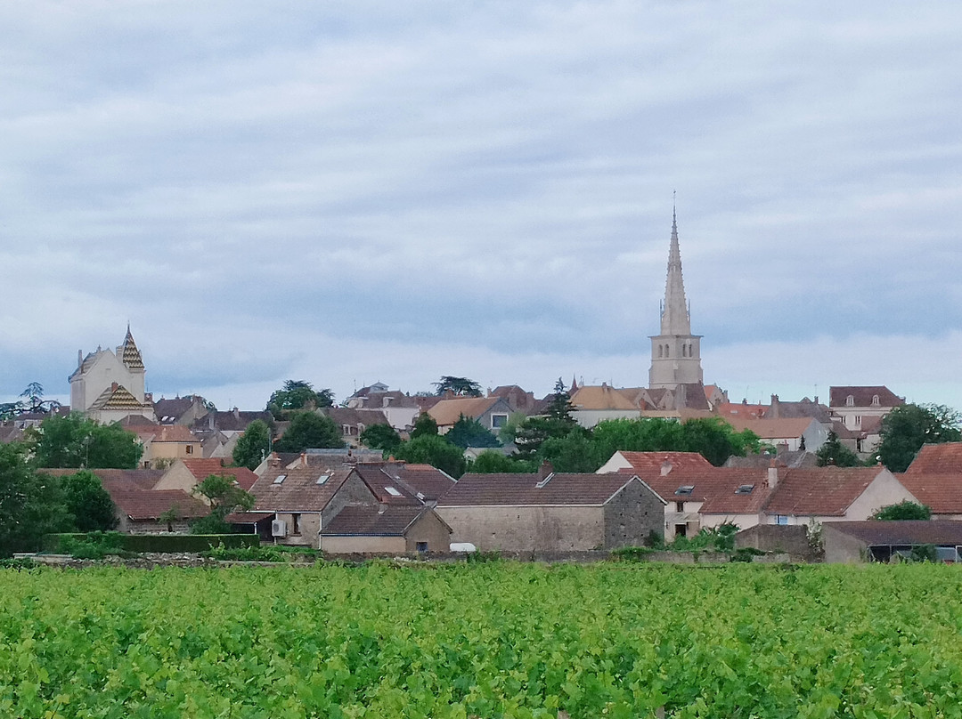 Hotel Les Hauts de Meursault主图