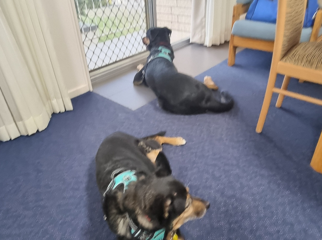 Econo Lodge Alabaster主图