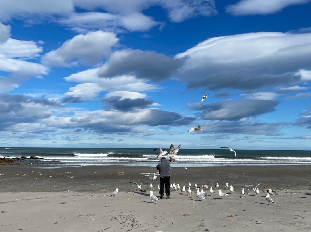 桑兹海滨汽车旅馆主图