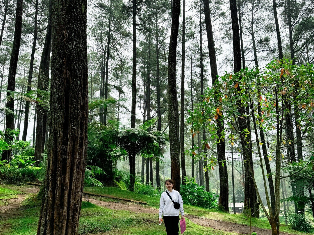 Orchid Forest Cikole-Cikole必去景点