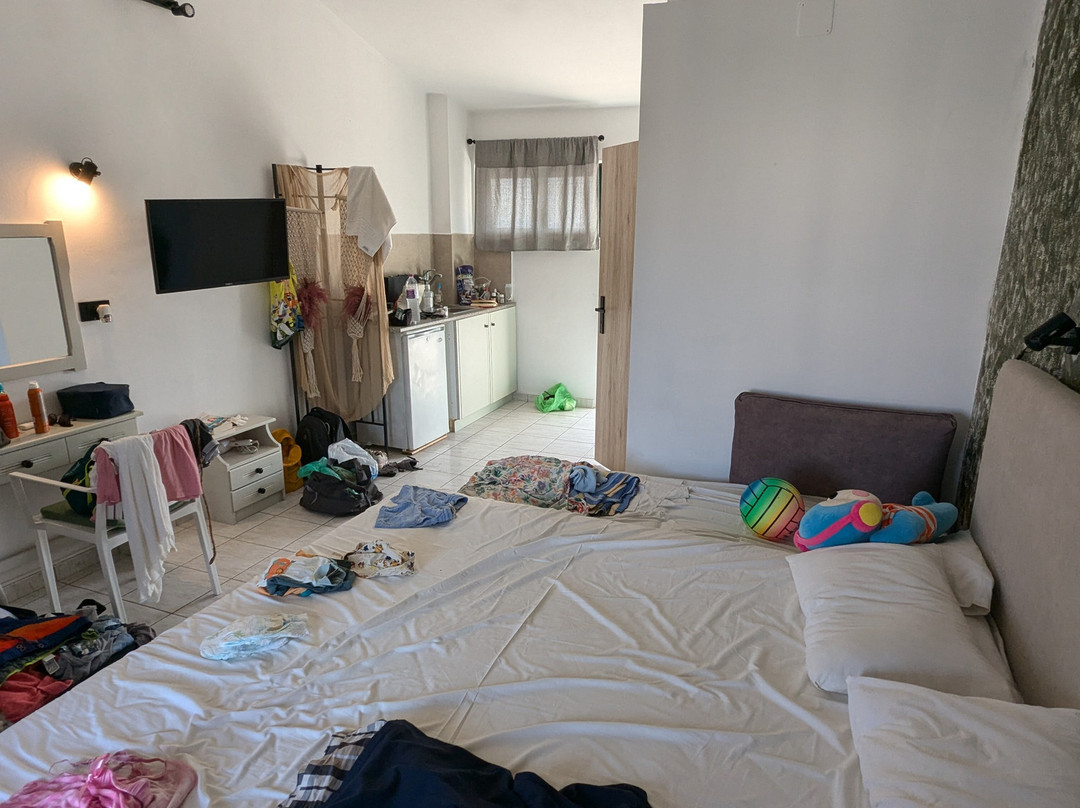 Amarylis Studios主图