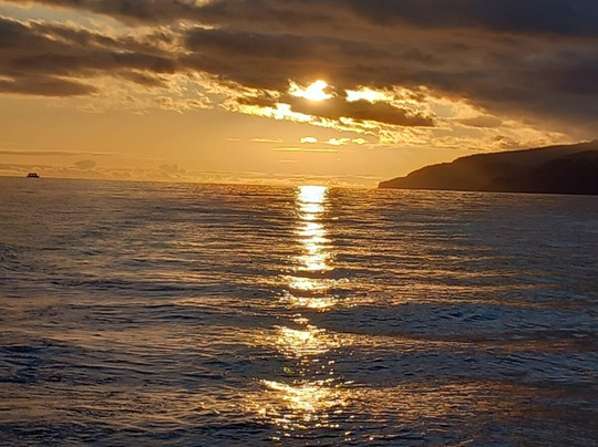 Madeira Ocean Tours-沙尔必去景点