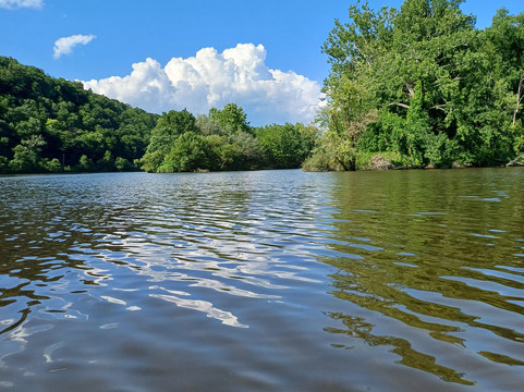A Day Away Kayak Rentals-Kingston必去景点