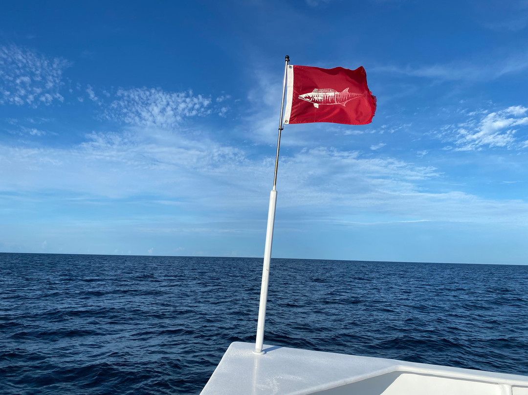 Action Charter Service-橙色海湾必去景点