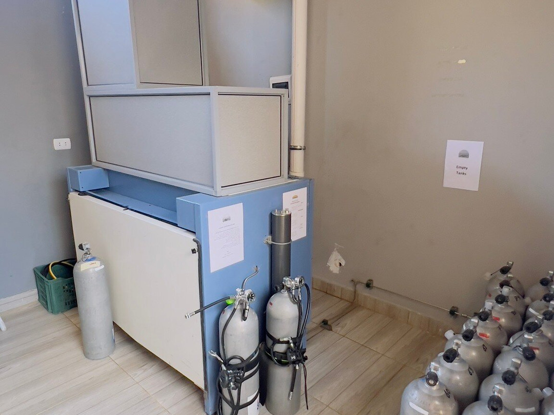 Shams Dive Centre-达哈卜必去景点