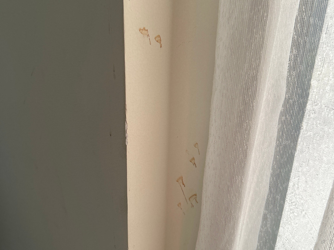 Cocoland Riverfront Resort & Wellness主图