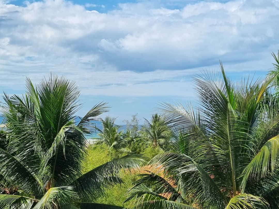 Grandvrio Ocean Resort Danang主图