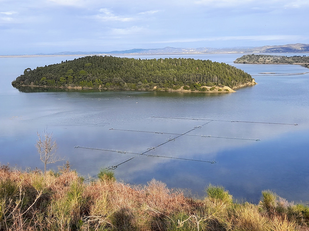 Narta Lagoon-Zvernec必去景点