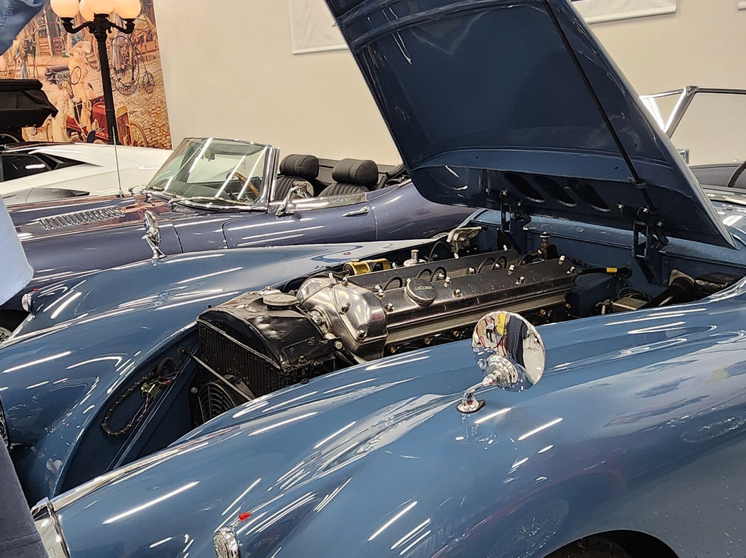 The Collection On Palmetto-克利尔沃特必去景点