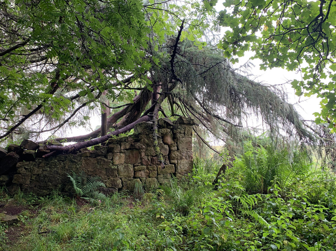 Roslin Glen Country Park-Roslin必去景点